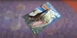 AR Dinopedia